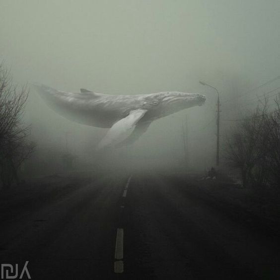 Путь в Тумане