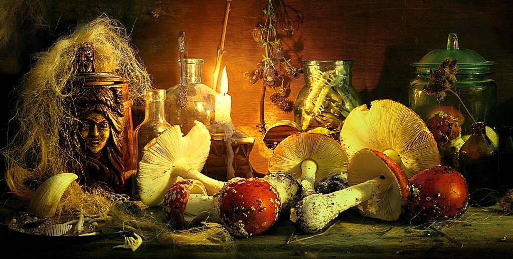 мистерия Белого Гриба