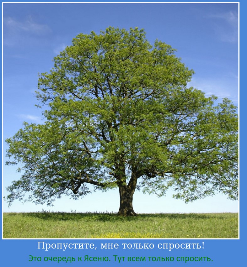 Безопасность прежде всего